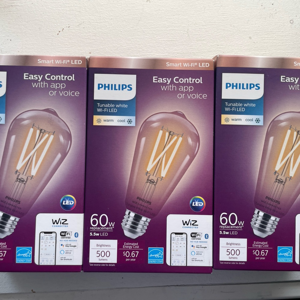 Philips Wi-Fi Connected LED 60-Watt ST19 Filament Tubular Light Bulb